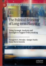 The Political Economy of Long-term Planning