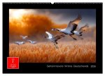 Geheimnisvolle Wildnis Deutschlands (Wandkalender 2026 DIN A2 quer), CALVENDO Monatskalender