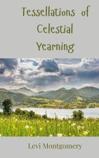 Tessellations of Celestial Yearning
