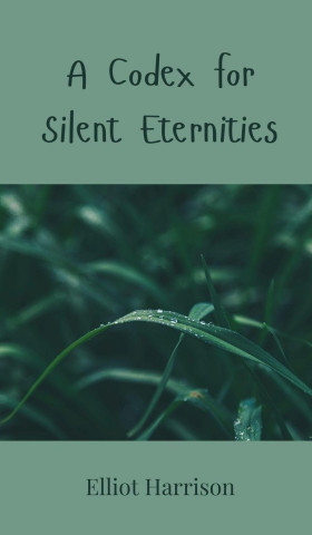 A Codex for Silent Eternities