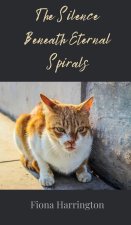 The Silence Beneath Eternal Spirals