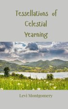 Tessellations of Celestial Yearning