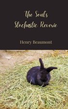 The Soul's Stochastic Reverie
