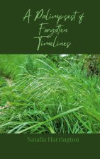 A Palimpsest of Forgotten Timelines