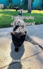The Topography of Temporal Light