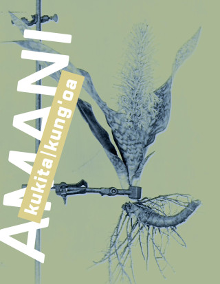 Amani