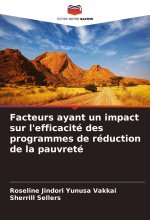 Facteurs ayant un impact sur l'efficacité des programmes de réduction de la pauvreté