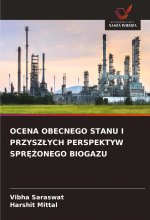 OCENA OBECNEGO STANU I PRZYSZ?YCH PERSPEKTYW SPR??ONEGO BIOGAZU