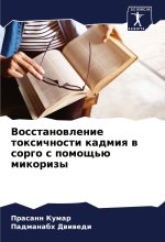 Vosstanowlenie toxichnosti kadmiq w sorgo s pomosch'ü mikorizy