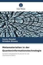 Metamaterialien in der Quanteninformationstechnologie