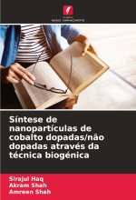 Síntese de nanopartículas de cobalto dopadas/n?o dopadas através da técnica biogénica