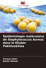 Épidémiologie moléculaire de Staphylococcus Aureus dans le Khyber Pakhtunkhwa