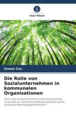 Die Rolle von Sozialunternehmen in kommunalen Organisationen