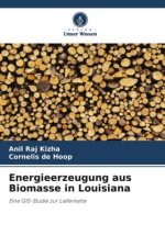 Energieerzeugung aus Biomasse in Louisiana