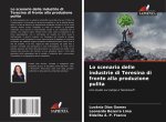 Lo scenario delle industrie di Teresina di fronte alla produzione pulita
