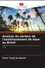 Analyse du secteur de l'assainissement de base au Brésil