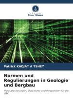 Normen und Regulierungen in Geologie und Bergbau