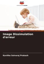 Image Dissimulation d'erreur