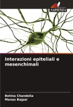 Interazioni epiteliali e mesenchimali