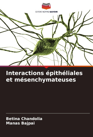 Interactions épithéliales et mésenchymateuses