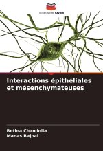 Interactions épithéliales et mésenchymateuses