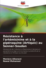 Résistance ? l'artémisinine et ? la pipéraquine (Artiquic) au Senner-Soudan