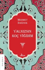 Yalnizsin Koc Yigidim