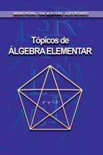 T picos De lgebra Elementar