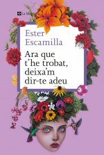 Ara que t'he trobat, deixa'm dir-te adeu