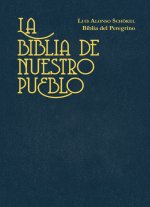BNPES - Bolsillo Vinilo