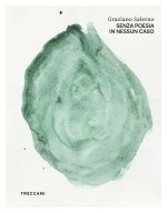 Graziano Salerno. Senza poesia in nessun caso
