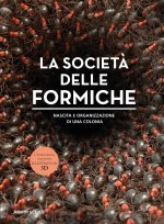 società delle formiche