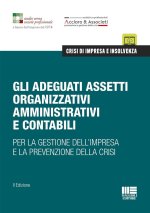 adeguati assetti organizzativi amministrativi e contabili. Per la gestione dell'impresa e la prevenzione della crisi