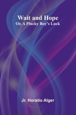 Wait and Hope; Or, A Plucky Boy's Luck