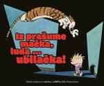 Calvin i Hobbes - Iz prašume mačka, luda... ubilačka!
