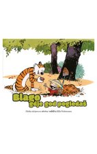 Calvin i Hobbes - Blago gdje god pogledaš
