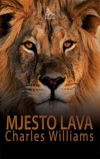 Mjesto lava