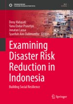 Examining Disaster Risk Reduction in Indonesia