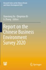 Report on the Chinese Business Environment Survey 2020