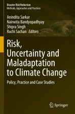 Risk, Uncertainty and Maladaptation to Climate Change