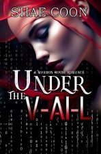 Under the V-AI-L
