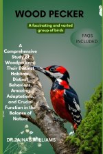 woodpecker