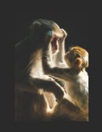 Me and My Monkey