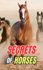 Secrets of Horses