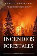 El impacto ambiental de los incendios forestales