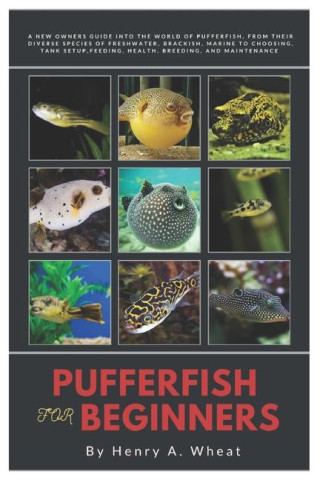 Pufferfish for Beginners