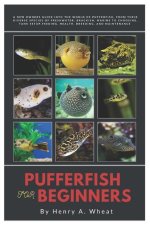 Pufferfish for Beginners