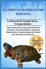 La Tortuga Madera Como Mascota
