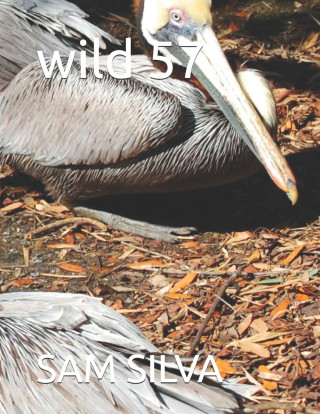 wild 57