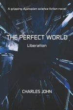 The Perfect World